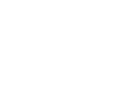 MYCELIUM
